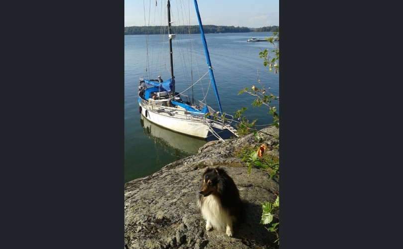 Trollö Kosteri-kuva-15